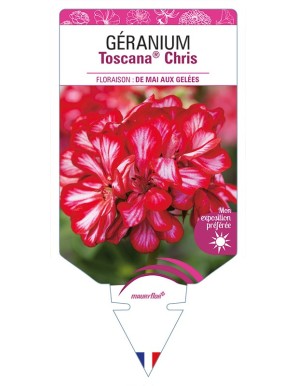 GÉRANIUM Toscana® Chris