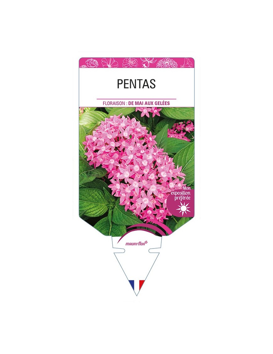 PENTAS