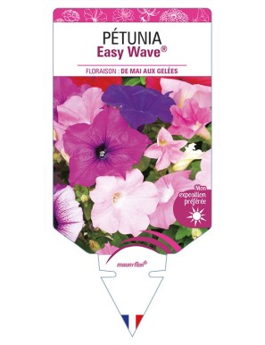 PÉTUNIA Easy Wave®