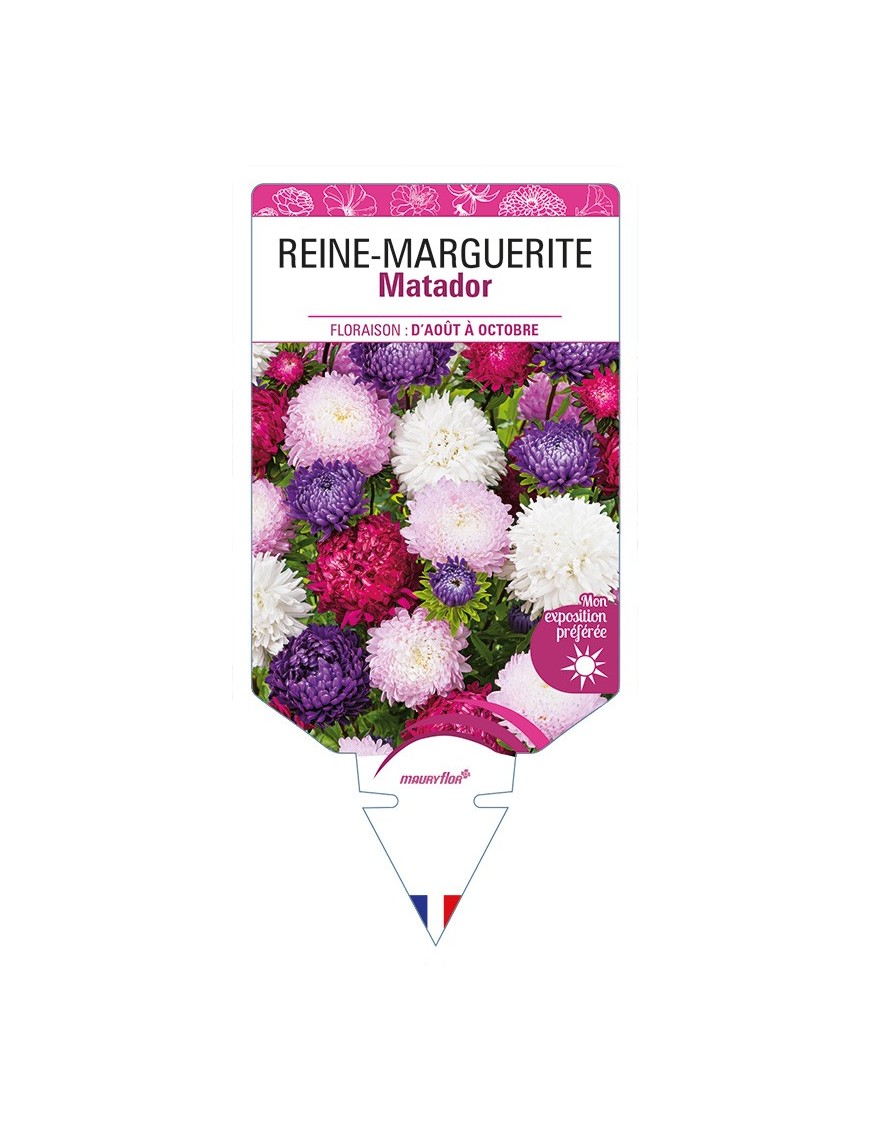 REINE-MARGUERITE Matador