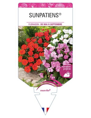 SUNPATIENS®