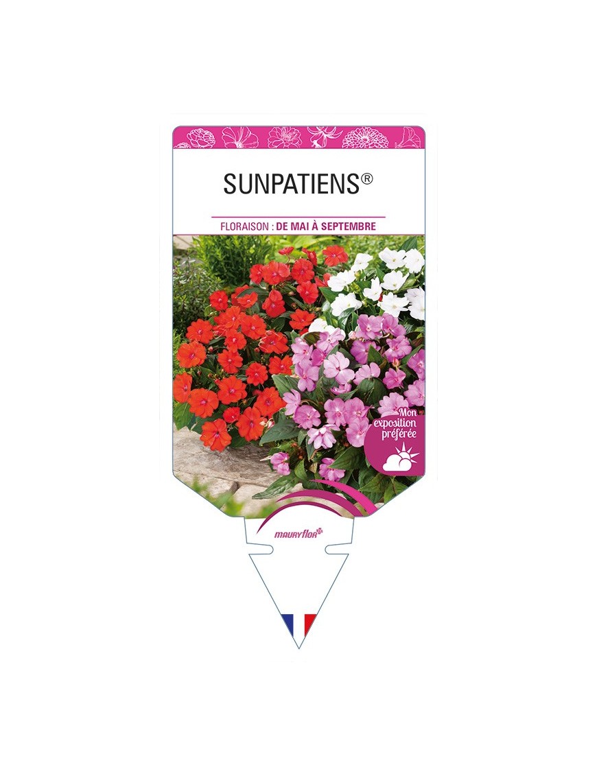 SUNPATIENS®