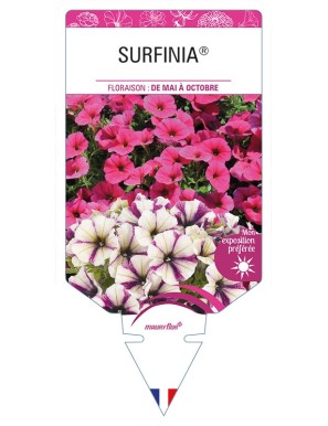 SURFINIA® (varié)