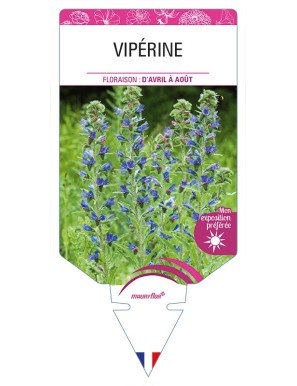 VIPÉRINE