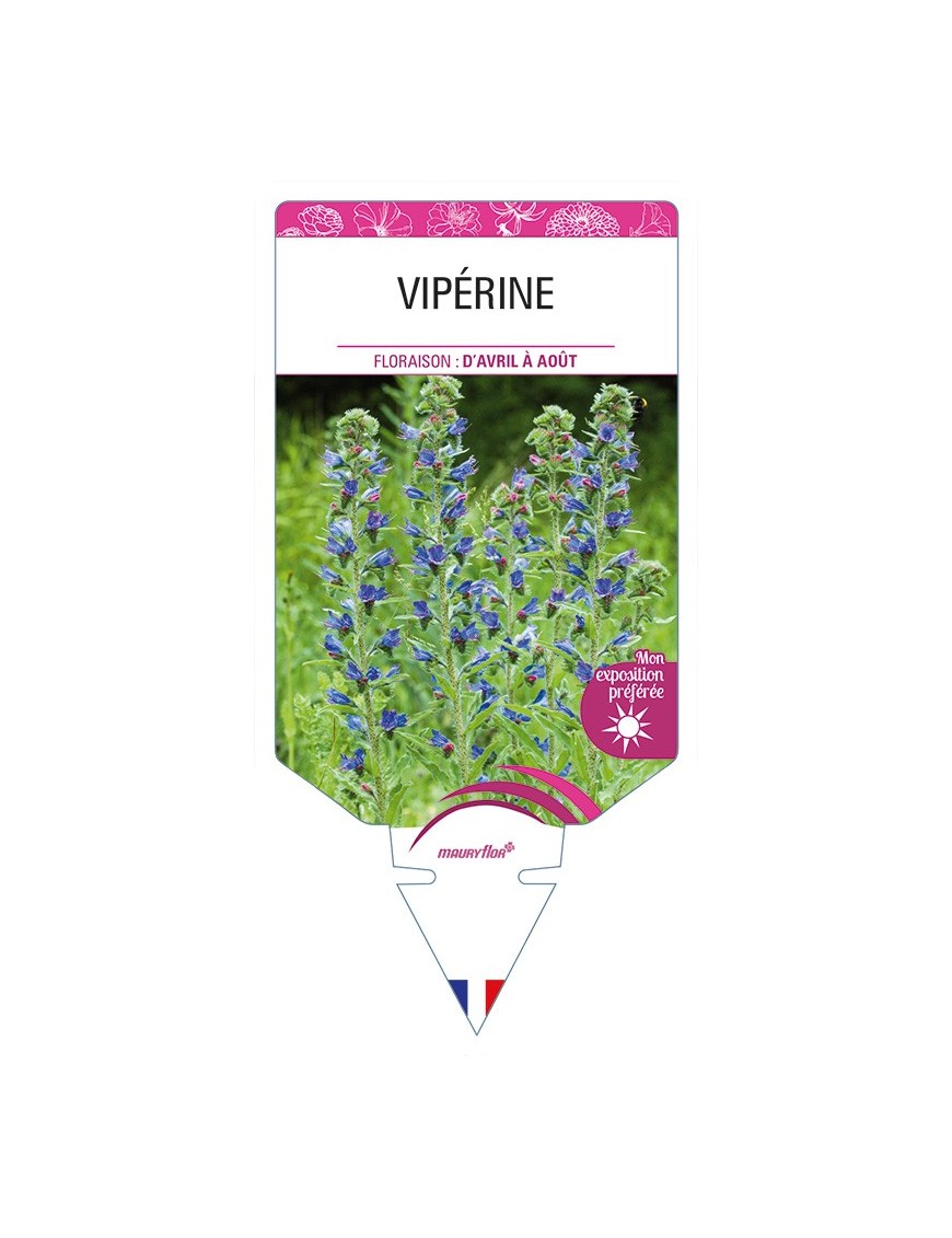 VIPÉRINE