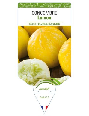Concombre Lemon