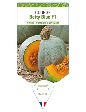 Courge Betty Blue F1