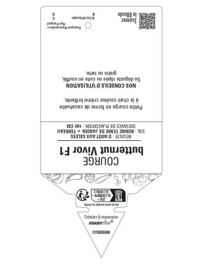 Courge butternut Vivor F1