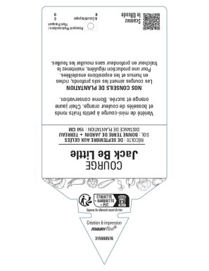 Courge Jack Be Little