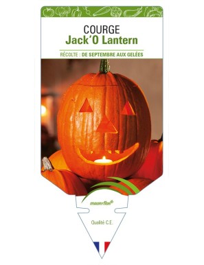 Courge Jack'O Lantern