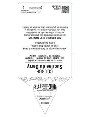 Courge Sucrine du Berry