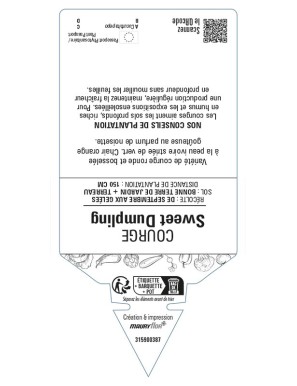 Courge Sweet Dumpling