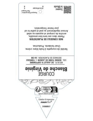 Courgette Blanche de Virginie