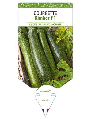 Courgette Kimber F1