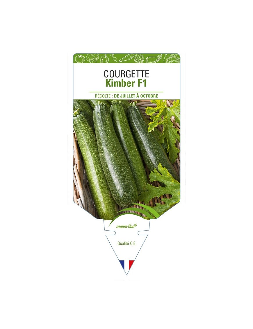 Courgette Kimber F1