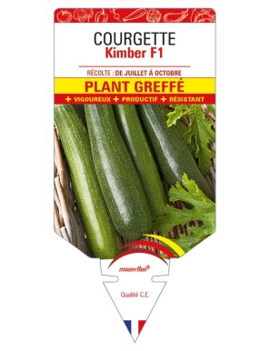 Courgette Kimber F1 Plant greffé