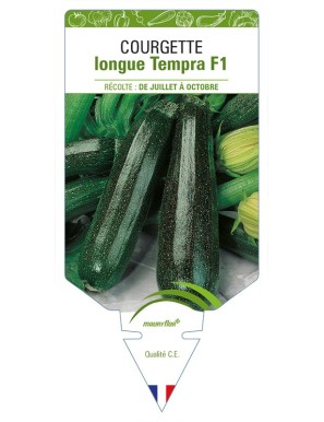 Courgette longue Tempra F1