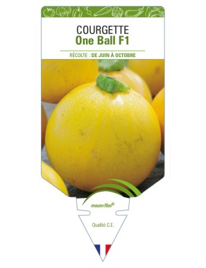 Courgette One Ball F1