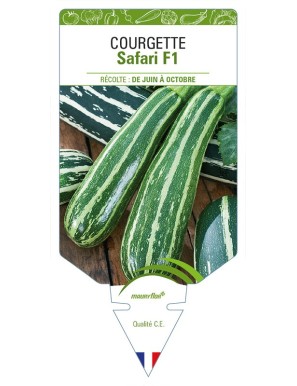 Courgette Safari F1