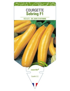 Courgette Sebring F1