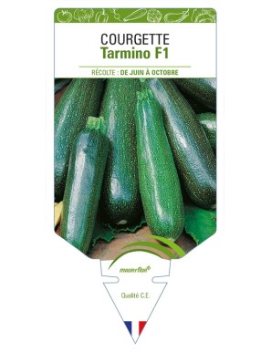 Courgette Tarmino F1