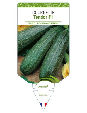 Courgette Tendor F1