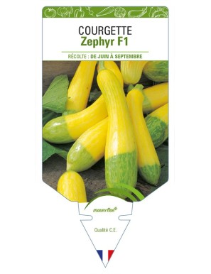 Courgette Zephyr F1