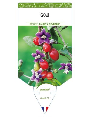 Goji