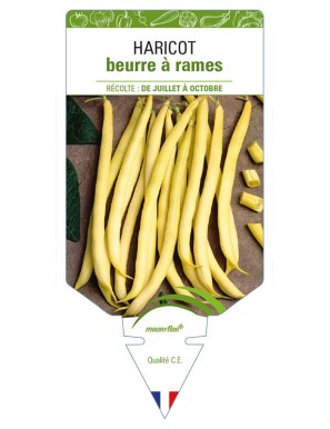 Haricot beurre à rames