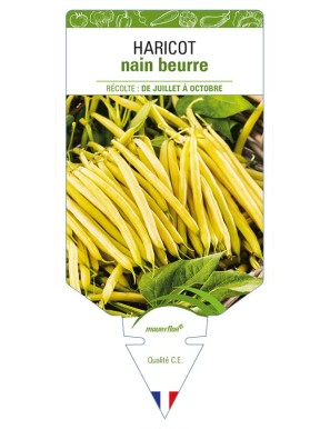 Haricot nain beurre