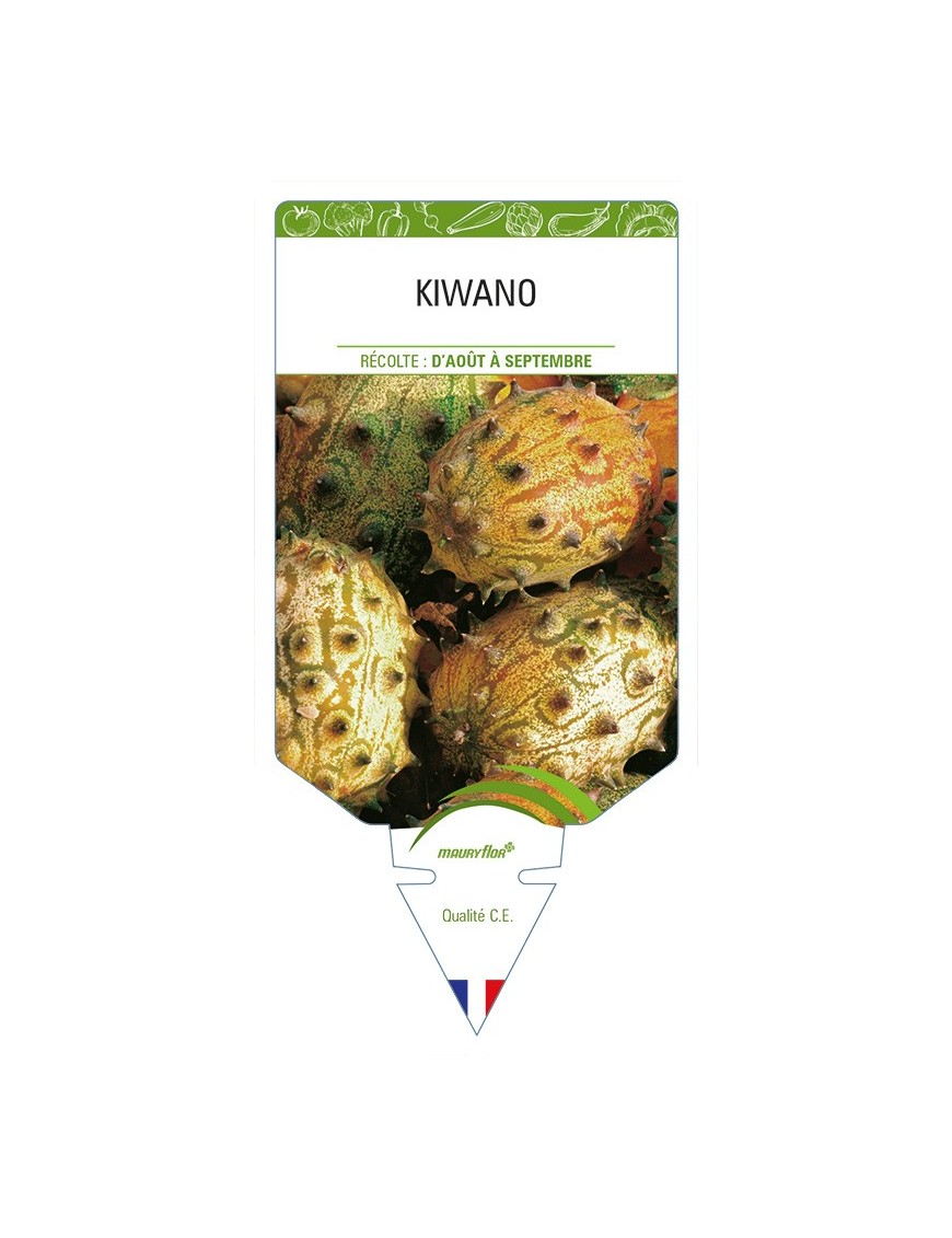 Kiwano