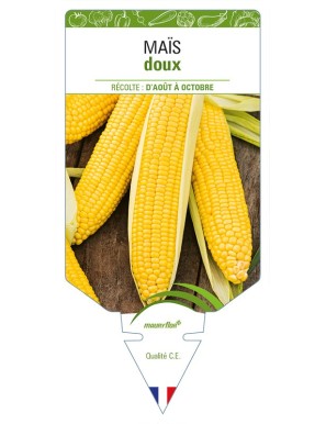 Maïs doux