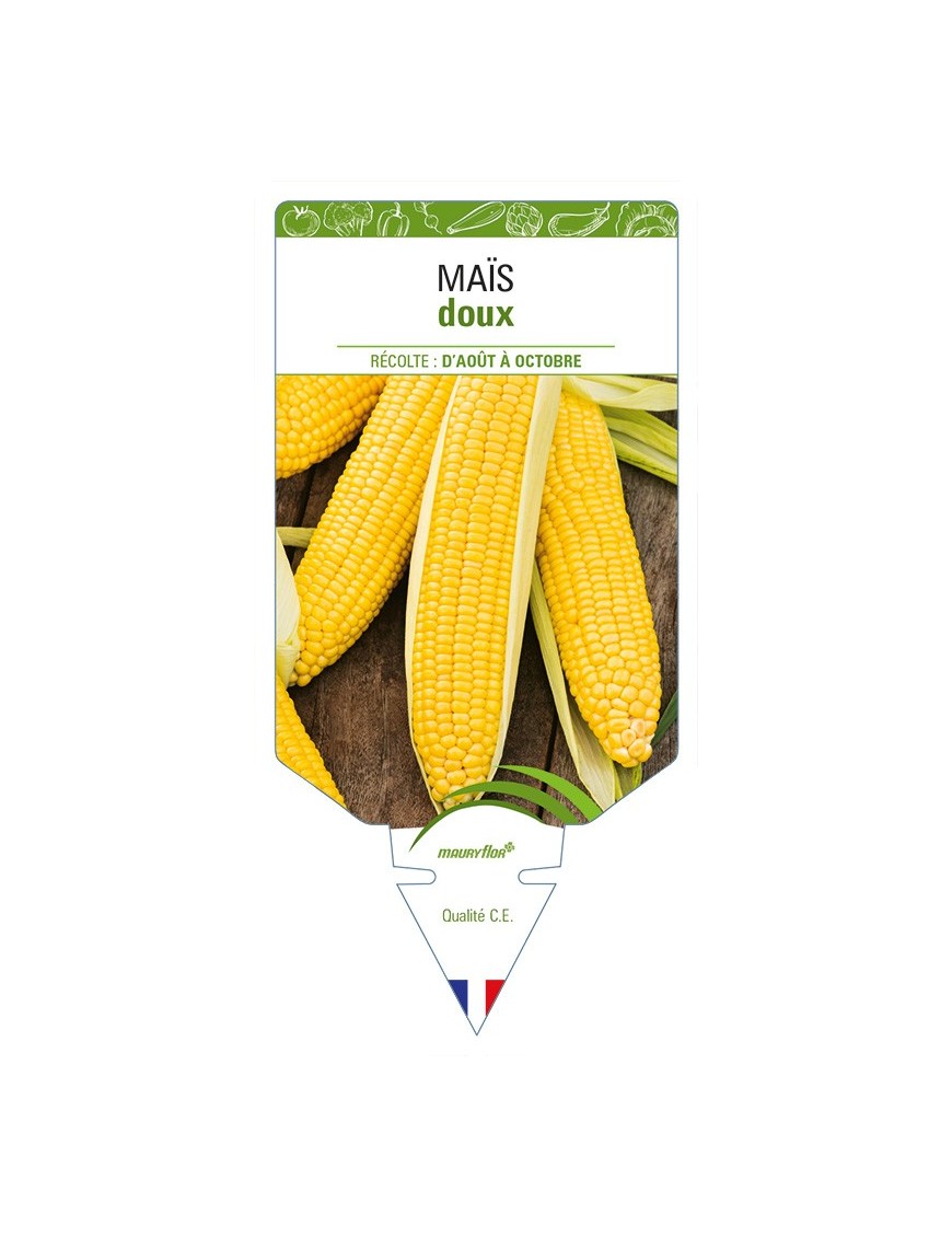 Maïs doux