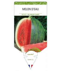 Melon d'Eau