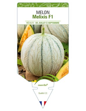 Melon Melixis F1