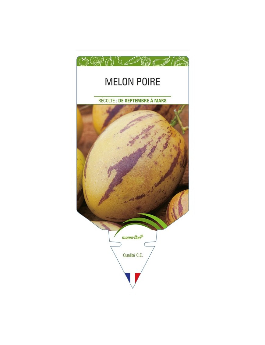 Melon Poire