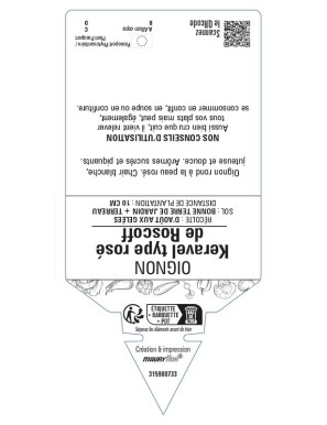 Oignon Keravel type rose de Roscoff