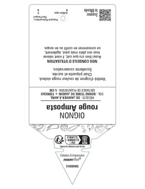 Oignon rouge Amposta