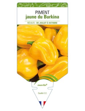 Piment jaune du Burkina