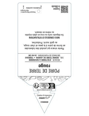 Poire de Terre rouge