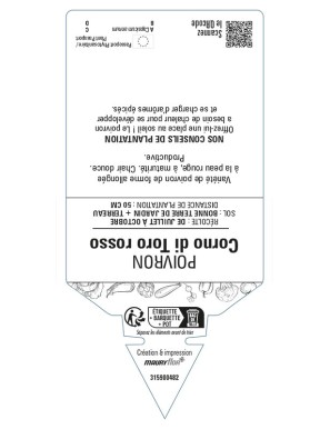 Poivron Corno di Toro Rosso