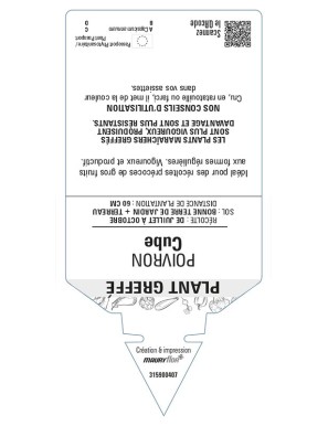 Poivron Cube Plant greffé