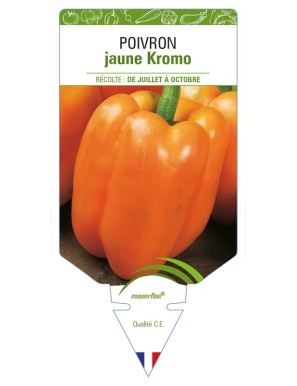 Poivron jaune Kromo