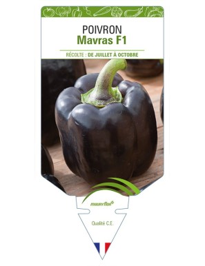 Poivron Mavras F1