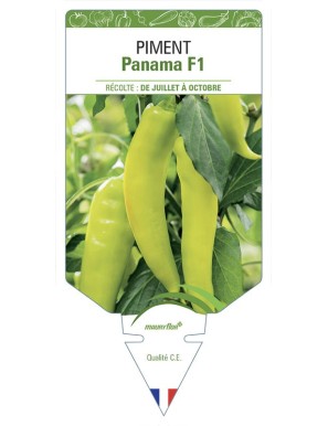 Poivron Panama F1