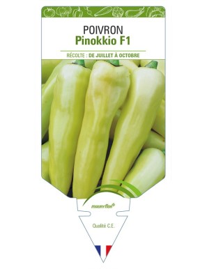Poivron Pinokkio F1
