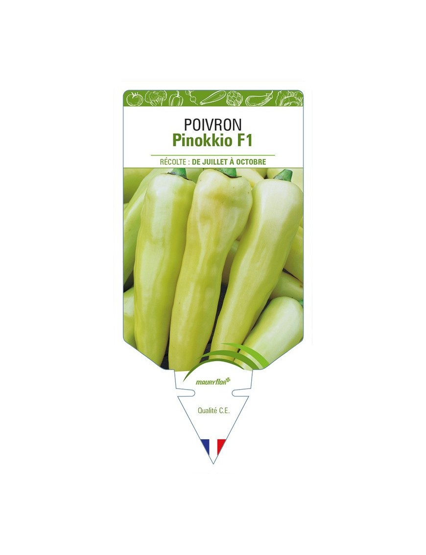 Poivron Pinokkio F1