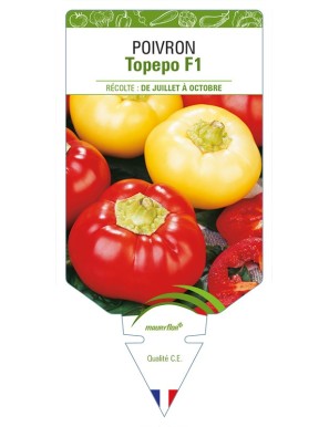 Poivron Topepo F1