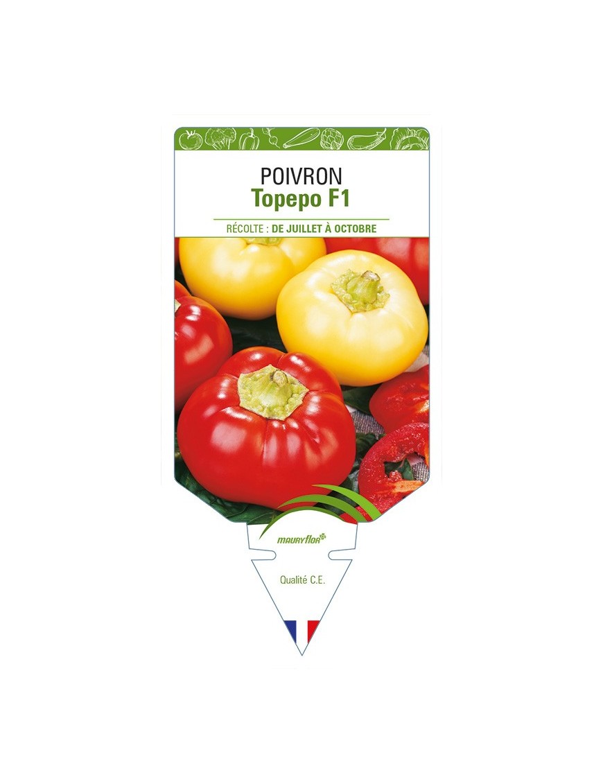 Poivron Topepo F1