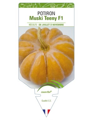 Potiron Muski Teeny F1